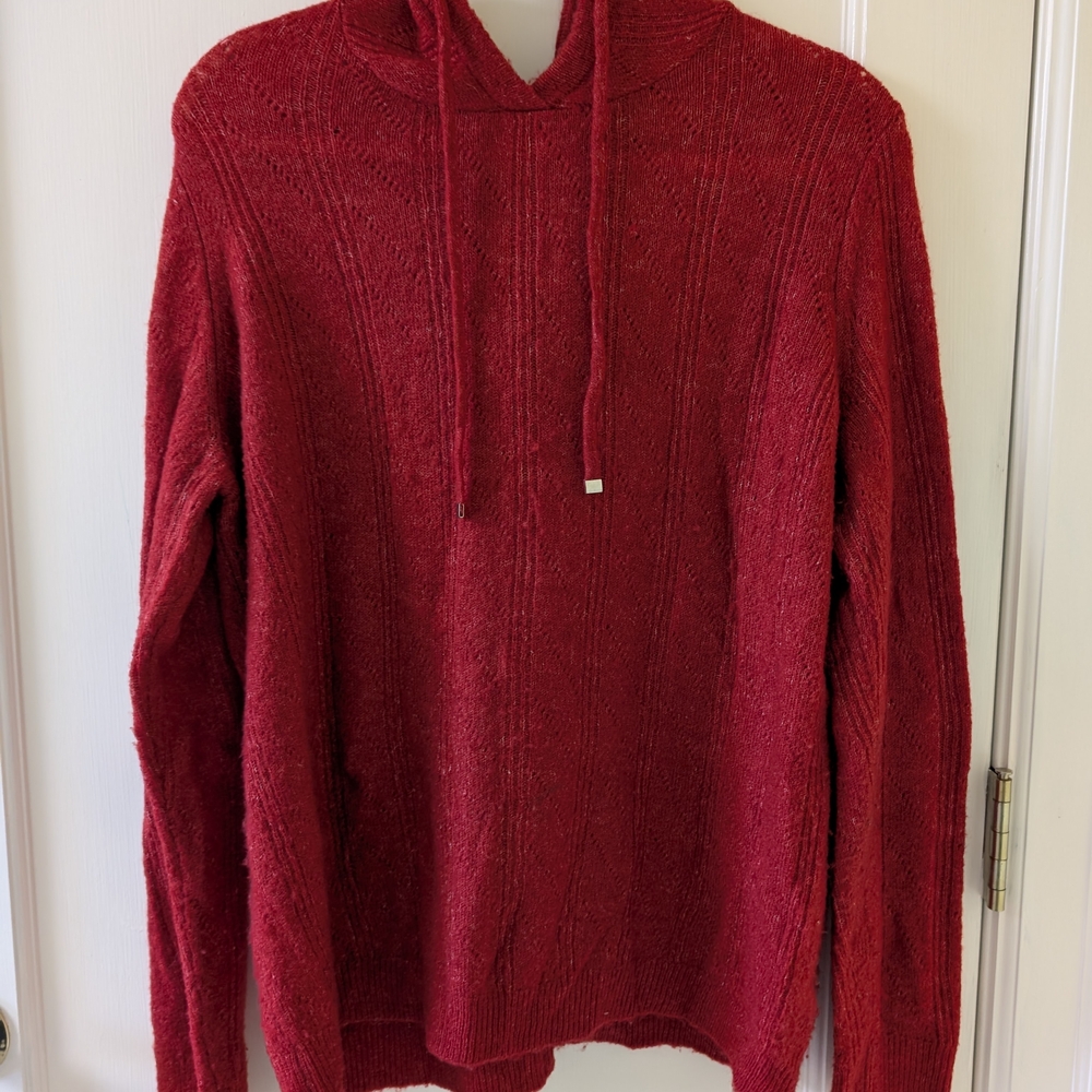 Grain de Malice Red Hoodie - EUC Large